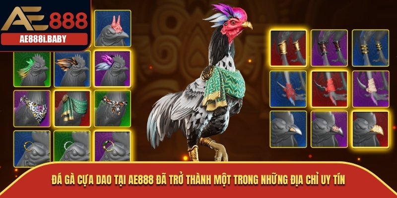 Đá gà cựa dao tại AE888 đã trở thành một trong những địa chỉ uy tín