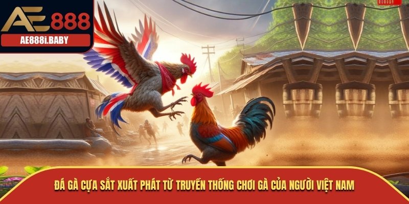Đá gà cựa sắt xuất phát từ truyền thống chơi gà của người Việt Nam