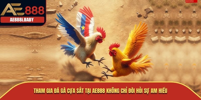 Tham gia đá gà cựa sắt tại AE888 không chỉ đòi hỏi sự am hiểu