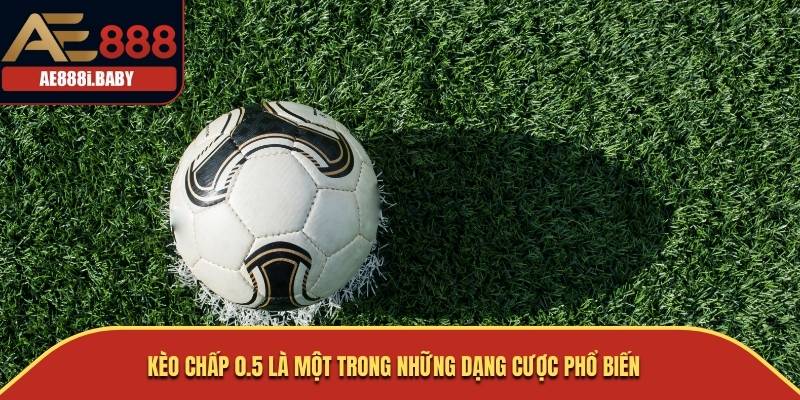 Kèo Chấp 0.5 là một trong những dạng cược phổ biến