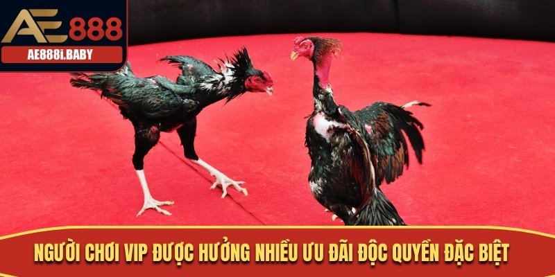 Người chơi VIP được hưởng nhiều ưu đãi độc quyền đặc biệt
