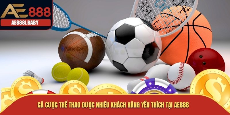 AE888 - LINK VÀO NHÀ CÁI ĐÁ GÀ THOMO MỚI NHẤT 2026 31 Cá cược thể thao được nhiều khách hàng yêu thích tại AE888
