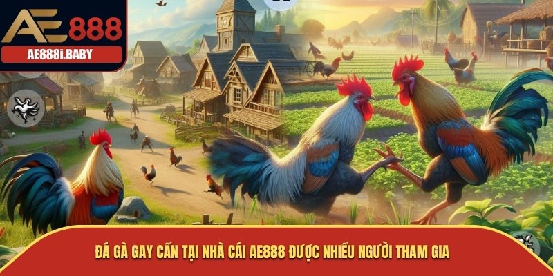AE888 - LINK VÀO NHÀ CÁI ĐÁ GÀ THOMO MỚI NHẤT 2026 32 Đá gà gay cấn tại nhà cái AE888 được nhiều người tham gia